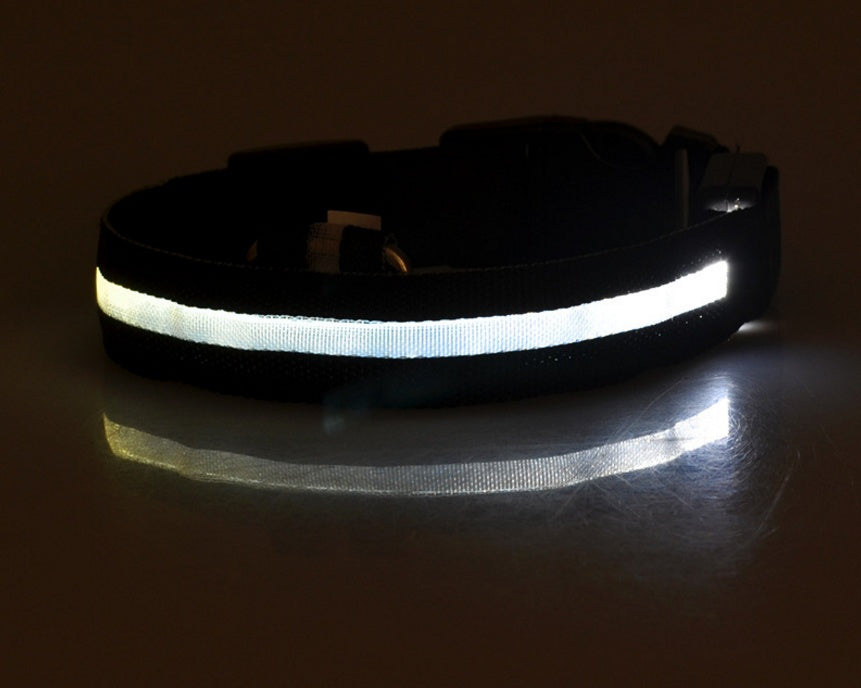 CheeriGlow LED Collar & Leash Set: Adjustable, Luminous, and Night-Safe for Your Pet