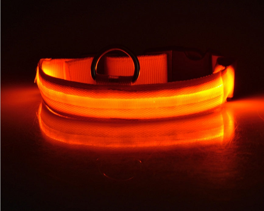 CheeriGlow LED Collar & Leash Set: Adjustable, Luminous, and Night-Safe for Your Pet