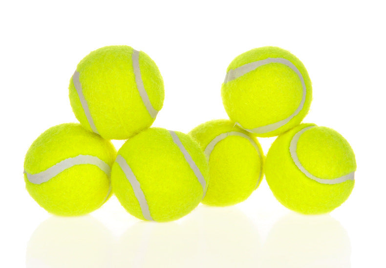 Smart Automatic Interactive Ball Launcher for Dogs