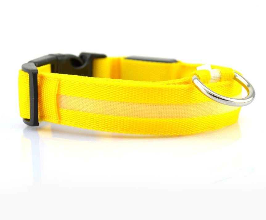 CheeriGlow LED Collar & Leash Set: Adjustable, Luminous, and Night-Safe for Your Pet