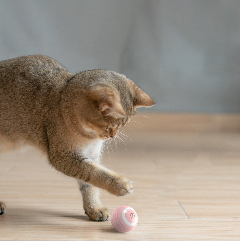 CheeriBounce Smart Cat Toy: Automatic Moving, Bouncing, and Rolling Fun for Indoor Kitten