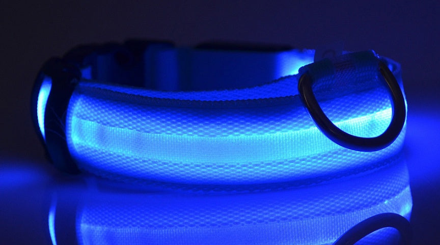 CheeriGlow LED Collar & Leash Set: Adjustable, Luminous, and Night-Safe for Your Pet