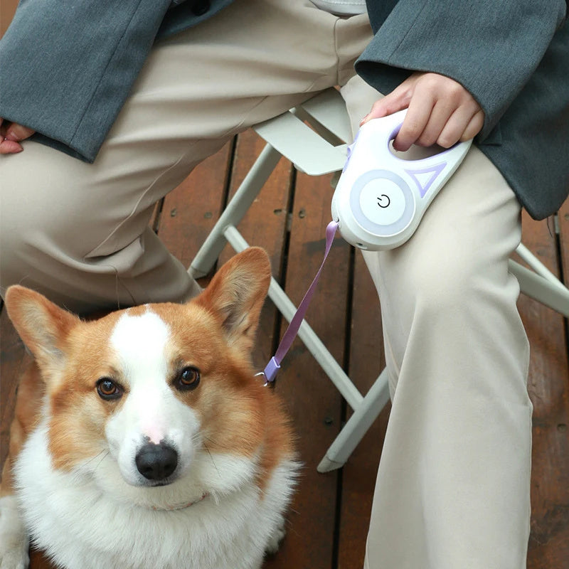 Durable Retractable Dog Leash with LED Light - 3M & 5M Options